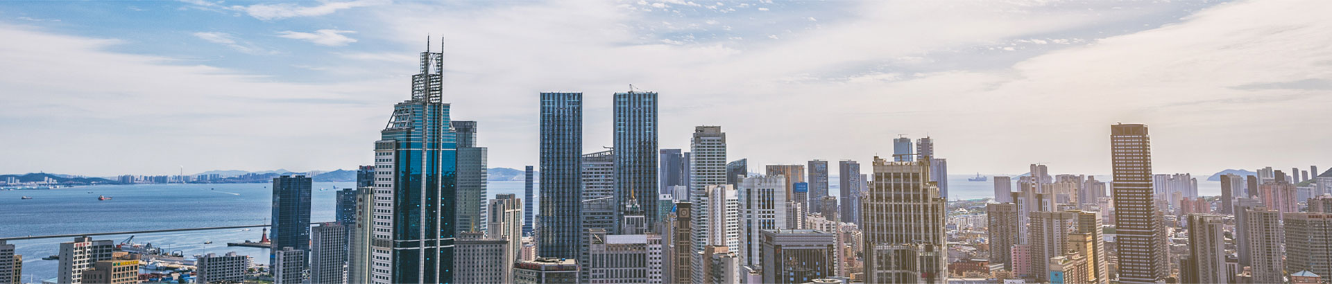 banner-gscy
